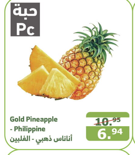  Pineapple  in Al Raya in KSA, Saudi Arabia, Saudi - Ta'if