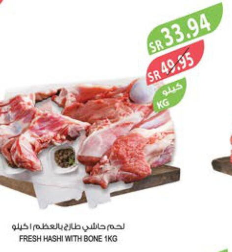  Camel meat  in Farm  in KSA, Saudi Arabia, Saudi - Dammam