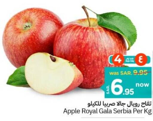  Apples  in Nesto in KSA, Saudi Arabia, Saudi - Riyadh