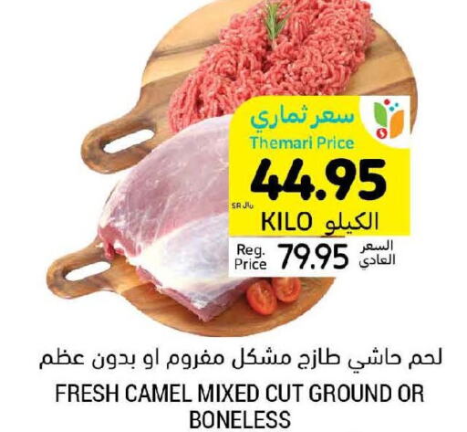  Camel meat  in Tamimi Market in KSA, Saudi Arabia, Saudi - Tabuk