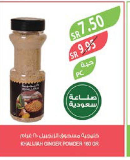  Spices  in Farm  in KSA, Saudi Arabia, Saudi - Riyadh