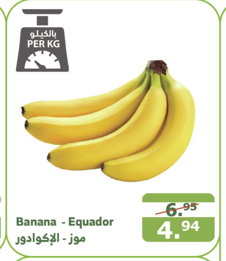  Banana  in Al Raya in KSA, Saudi Arabia, Saudi - Mecca