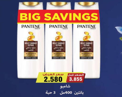 PANTENE شامبو / بلسم  in جمعية ضاحية صباح السالم التعاونية in الكويت - محافظة الأحمدي