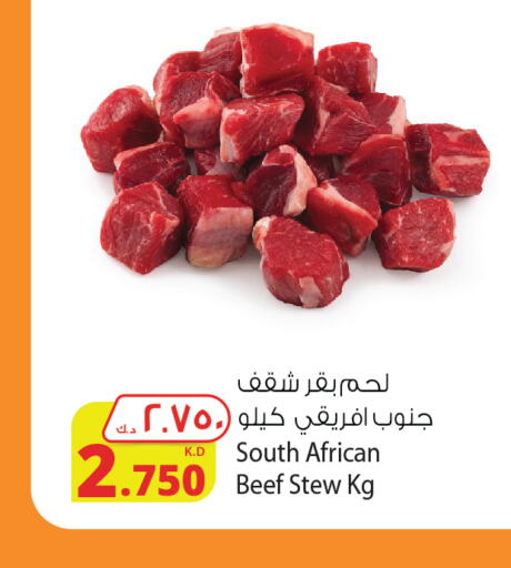  Beef  in Agricultural Food Products Co. in Kuwait - Jahra Governorate