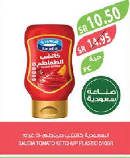 SAUDIA Tomato Ketchup  in Farm  in KSA, Saudi Arabia, Saudi - Yanbu