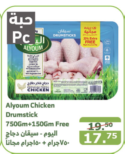  Chicken Drumsticks  in Al Raya in KSA, Saudi Arabia, Saudi - Jazan