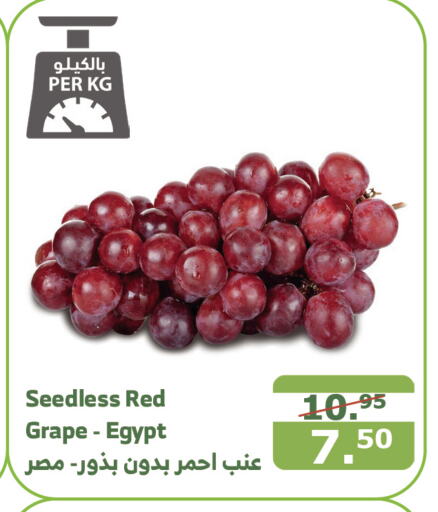  Grapes  in الراية in مملكة العربية السعودية, السعودية, سعودية - القنفذة