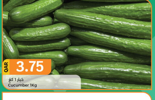  Cucumber  in City Hypermarket in Qatar - Al Daayen