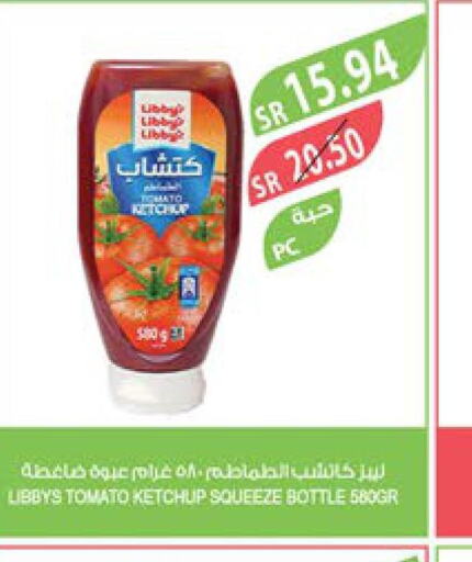  Tomato Ketchup  in Farm  in KSA, Saudi Arabia, Saudi - Khafji