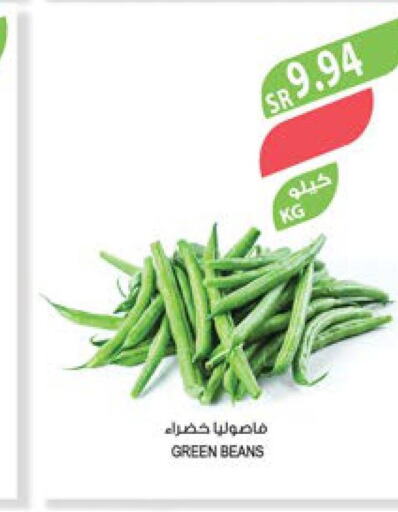  Beans  in المزرعة in مملكة العربية السعودية, السعودية, سعودية - عرعر