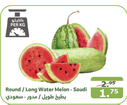  Watermelon  in الراية in مملكة العربية السعودية, السعودية, سعودية - القنفذة