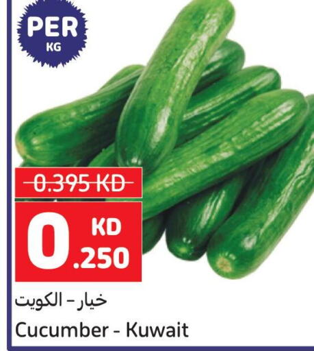  Cucumber  in كارفور in الكويت - مدينة الكويت