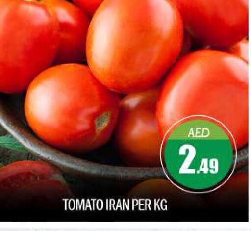  Tomato  in BIGmart in UAE - Abu Dhabi