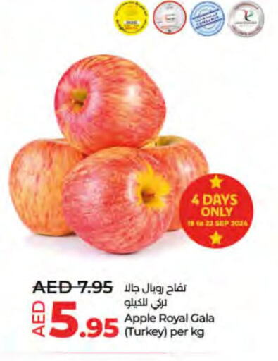  Apples  in لولو هايبرماركت in الإمارات العربية المتحدة , الامارات - الشارقة / عجمان