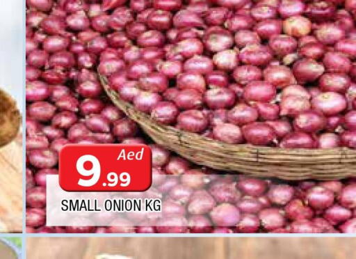  Onion  in المدينة in الإمارات العربية المتحدة , الامارات - الشارقة / عجمان