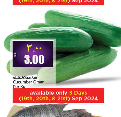  Cucumber  in Retail Mart in Qatar - Al Daayen