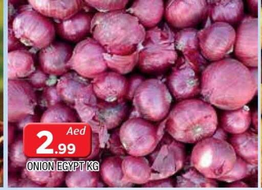  Onion  in المدينة in الإمارات العربية المتحدة , الامارات - الشارقة / عجمان