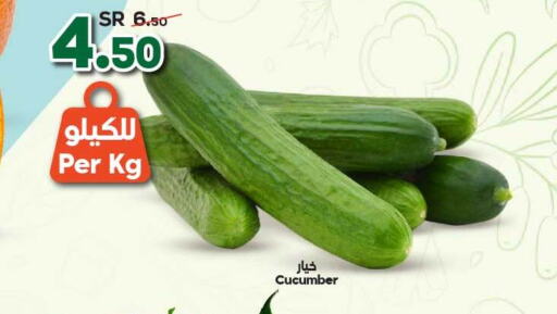  Cucumber  in Dukan in KSA, Saudi Arabia, Saudi - Mecca