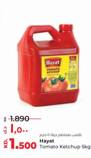 HAYAT Tomato Ketchup  in Lulu Hypermarket  in Kuwait - Jahra Governorate