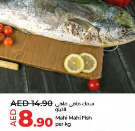    in Lulu Hypermarket in UAE - Ras al Khaimah