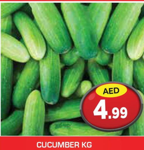  Cucumber  in سنابل بني ياس in الإمارات العربية المتحدة , الامارات - الشارقة / عجمان