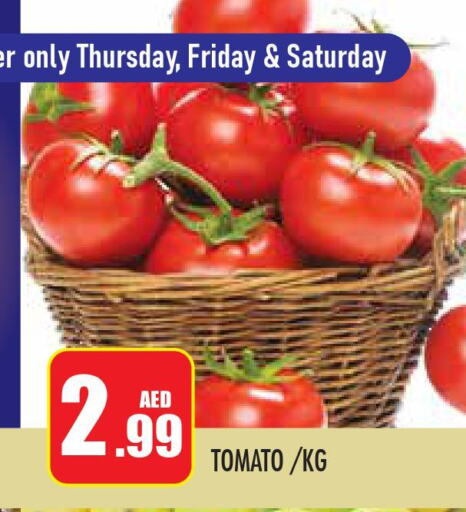  Tomato  in سنابل بني ياس in الإمارات العربية المتحدة , الامارات - أبو ظبي