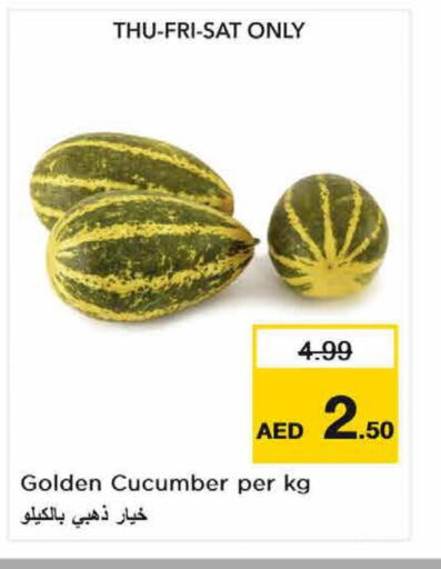  Cucumber  in نستو هايبرماركت in الإمارات العربية المتحدة , الامارات - الشارقة / عجمان