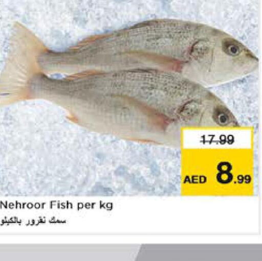    in Nesto Hypermarket in UAE - Sharjah / Ajman