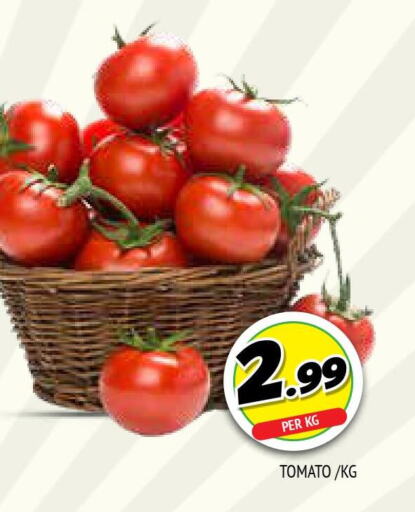  Tomato  in المدينة in الإمارات العربية المتحدة , الامارات - الشارقة / عجمان