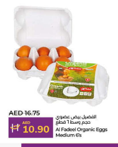    in Lulu Hypermarket in UAE - Sharjah / Ajman