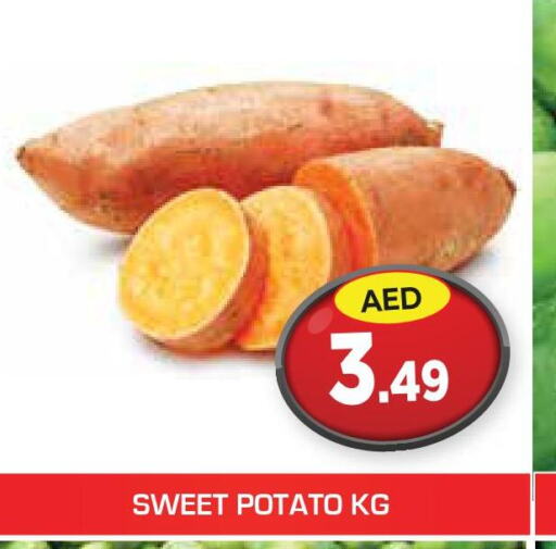  Sweet Potato  in سنابل بني ياس in الإمارات العربية المتحدة , الامارات - رَأْس ٱلْخَيْمَة