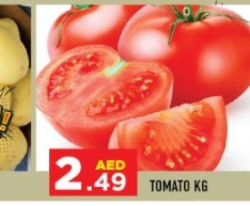  Tomato  in سنابل بني ياس in الإمارات العربية المتحدة , الامارات - أبو ظبي