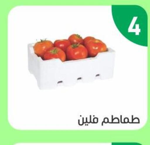  Tomato  in أسواق جرين أبل in مملكة العربية السعودية, السعودية, سعودية - الأحساء‎