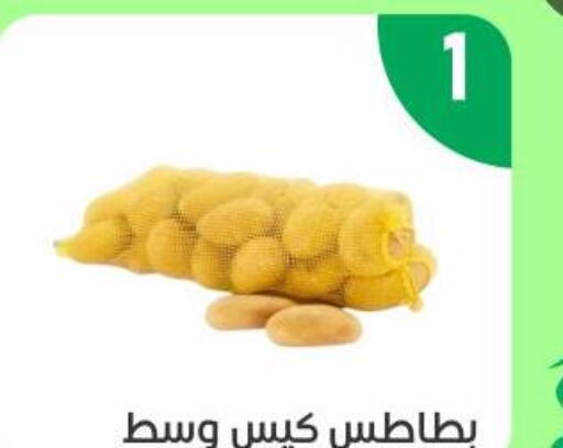  Potato  in أسواق جرين أبل in مملكة العربية السعودية, السعودية, سعودية - الأحساء‎