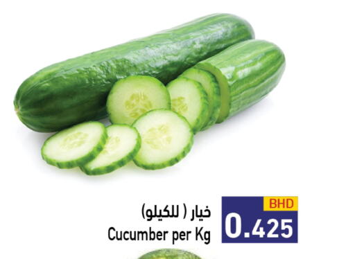  Cucumber  in رامــز in البحرين