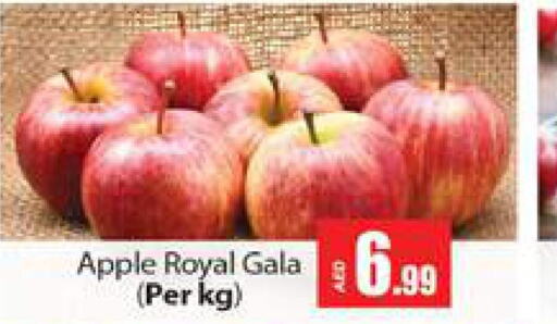  Apples  in Gulf Hypermarket LLC in UAE - Ras al Khaimah