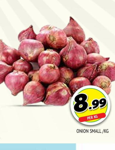  Onion  in المدينة in الإمارات العربية المتحدة , الامارات - الشارقة / عجمان