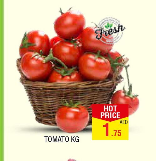  Tomato  in المدينة in الإمارات العربية المتحدة , الامارات - الشارقة / عجمان