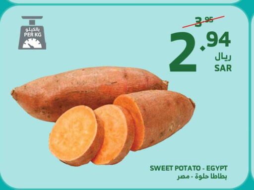  Sweet Potato  in Al Raya in KSA, Saudi Arabia, Saudi - Jazan