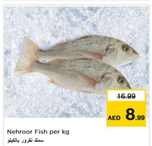    in Nesto Hypermarket in UAE - Sharjah / Ajman