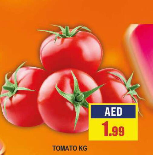  Tomato  in أزهر المدينة هايبرماركت in الإمارات العربية المتحدة , الامارات - أبو ظبي