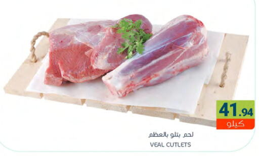  Veal  in Muntazah Markets in KSA, Saudi Arabia, Saudi - Qatif