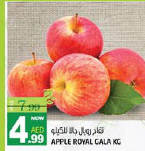  Apples  in هاشم هايبرماركت in الإمارات العربية المتحدة , الامارات - الشارقة / عجمان