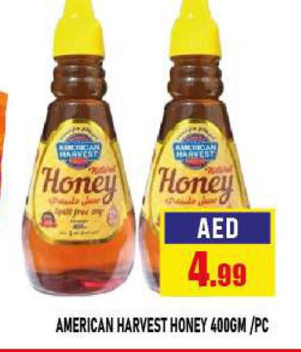 AMERICAN HARVEST Honey  in Azhar Al Madina Hypermarket in UAE - Abu Dhabi