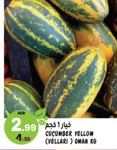  Cucumber  in هاشم هايبرماركت in الإمارات العربية المتحدة , الامارات - الشارقة / عجمان