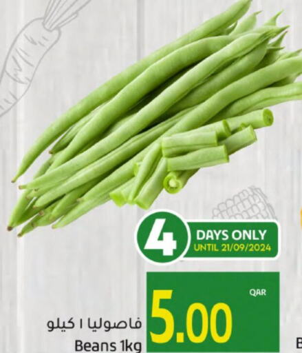  Beans  in جلف فود سنتر in قطر - الضعاين