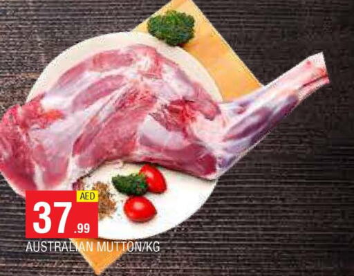  Mutton / Lamb  in AL MADINA in UAE - Sharjah / Ajman