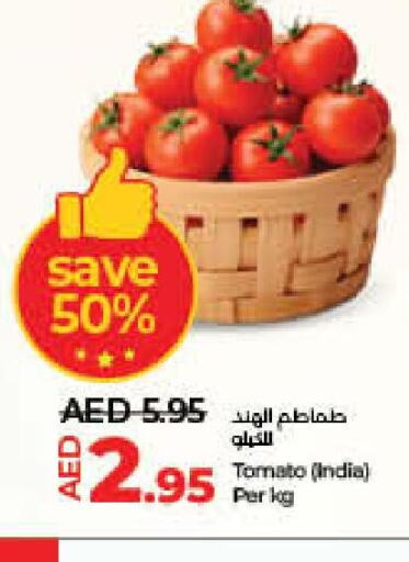  Tomato  in لولو هايبرماركت in الإمارات العربية المتحدة , الامارات - الشارقة / عجمان