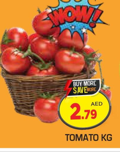  Tomato  in Baniyas Spike  in UAE - Sharjah / Ajman