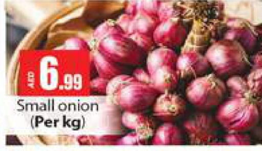  Onion  in Gulf Hypermarket LLC in UAE - Ras al Khaimah